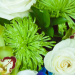 JHarrisonYoung-Wedding-116